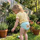 Les Culottes des Grands™